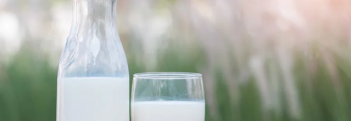 Eine Flasche und ein Glas Milch